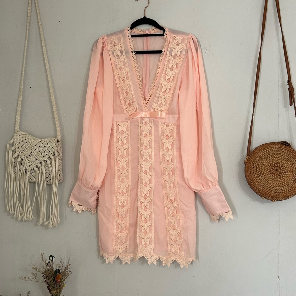 NWOT Pink Lace Long Sleeve Butterfly Dress